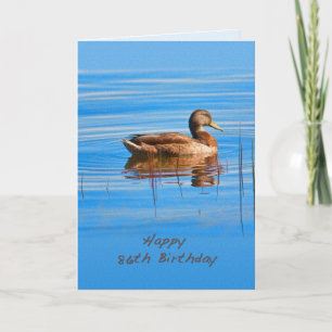 Cartão Aniversário, 86º, Pato Mallard