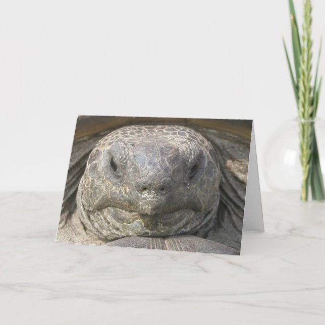 Cartão Aniversário atrasado (Frente)