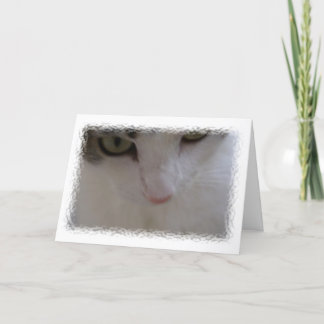 Cartão Aniversário bonito