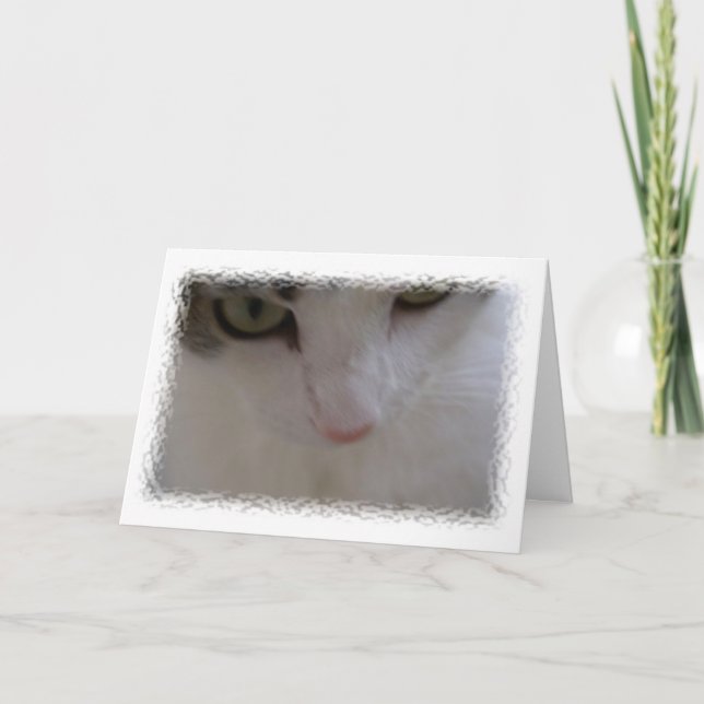 Cartão Aniversário bonito (Frente)