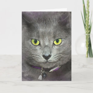 Cartão Aniversário Cat
