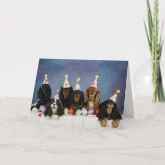 Cartão Aniversário Cav-tastic