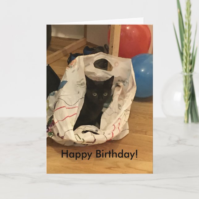 Cartão Aniversário com Foto de Gato Personalizada (Frente)