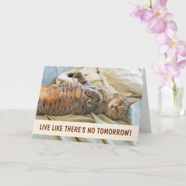 Cartão Aniversário da Filosofia de Gato Preguiçoso (Orquídea)