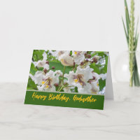 Aniversário da Madrinha com Flores de Catalpa Orqu