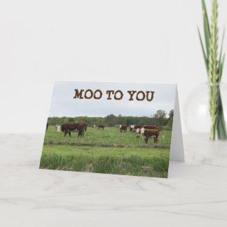 Cartão **aniversário de 21 anos** MOO PARA VOCÊ DIZ VACAS