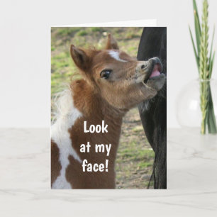 Cartão **aniversário de 21 anos** PONY SUPRIMIDO