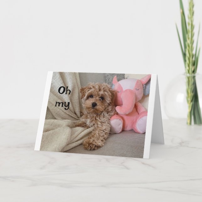 Cartão *aniversário de 40 anos* ALGO SOBRE O "LATIDO" (Frente)