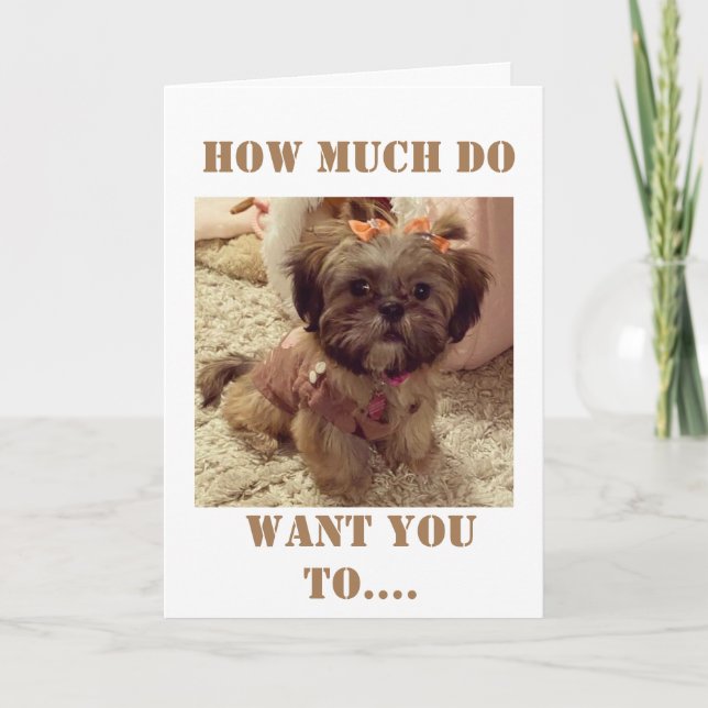 Cartão **aniversário de 40 anos** DESEJOS DESTE PUP DOCE (Frente)