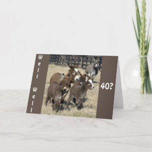 Cartão **aniversário de 40 anos HUMOR DE DONKEYS NÃO MENO