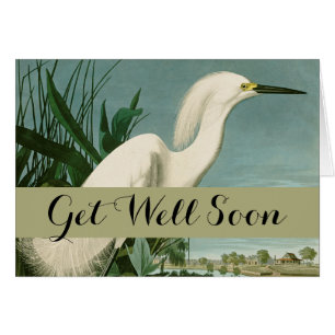 Cartão Aniversário de Ave-de-Egrete Branca de Audubon Sno
