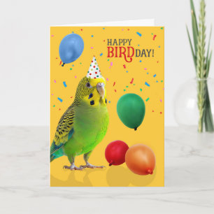 Cartão Aniversário de Budgie Parakeet Verde e Amarelo Eng