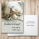Cartão Aniversário de cabeça para baixo bonito do gato<br><div class="desc">Na parte dianteira deste cartão de aniversário, tigre cinzento um gato listrado encontra-se upside-down, olhando o com olhos verdes. O texto diz um "outro aniversário? Bem, olhar nele esta maneira…" O texto interno diz que "… você não é tão idoso como você será próximo ano! Feliz aniversario!" Todo o texto...</div>