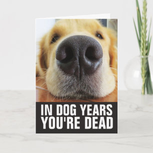 CARTÃO ANIVERSÁRIO DE CÃO, EM ANOS DE CÃO VOCÊ ESTÁ MORTO