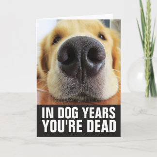 CARTÃO ANIVERSÁRIO DE CÃO, EM ANOS DE CÃO VOCÊ ESTÁ MORTO