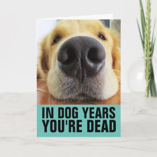 CARTÃO ANIVERSÁRIO DE CÃO ENGRAÇADO, ANOS DE CÃO VOCÊ EST