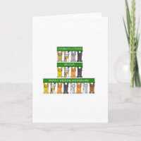 Aniversário de Casamento de Esmeralda 55 Anos Gato