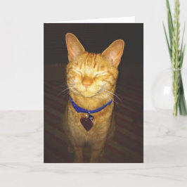 Cartão Aniversário de Cat deseja Saudação