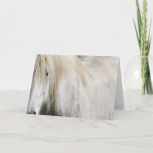 Cartão Aniversário de cavalo branco