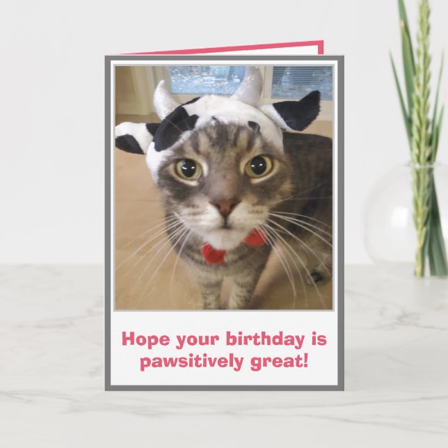 Cartão Aniversário de Gato Divertido (Frente)