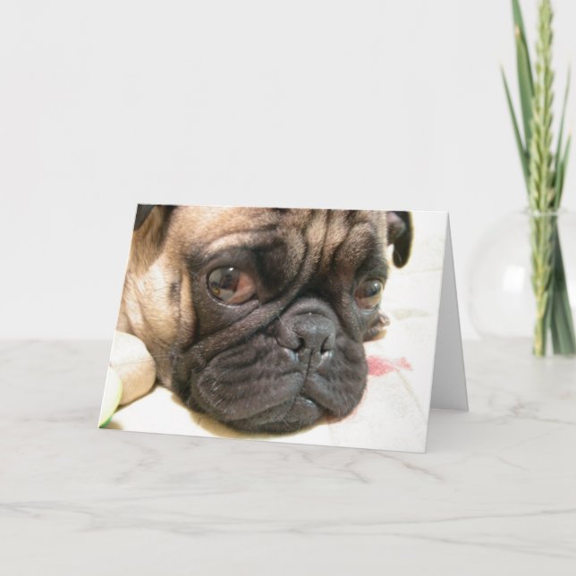 Cartão Aniversário de Idade Não Feliz, Humor com Cão (Frente)