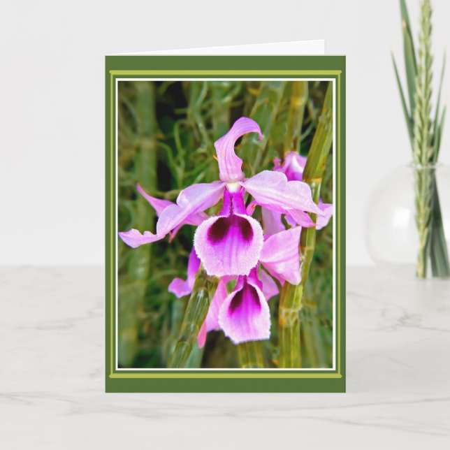 Cartão Aniversário de Orquídea (Frente)