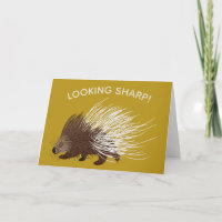 Aniversário de Porcupine Castanho e Mostarda