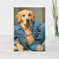 Aniversário De Retriever De ouro Em Jeans Azuis