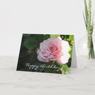 Cartão Aniversário de Rosa Rosa Elegante