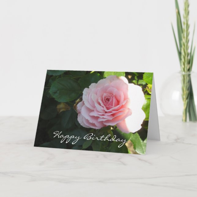 Cartão Aniversário de Rosa Rosa Elegante (Frente)