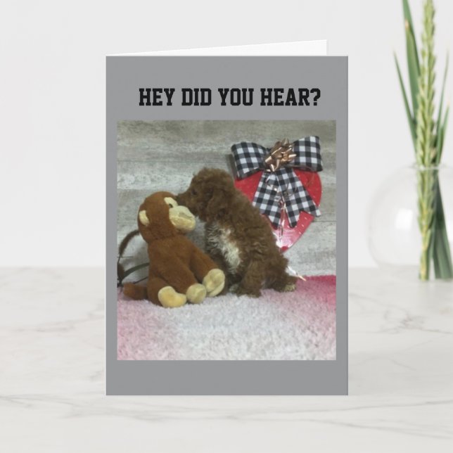 CARTÃO ANIVERSÁRIO DESEJA A ALGUÉM ESPECIAL! (Frente)