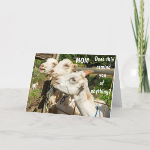 CARTÃO ANIVERSÁRIO DESEJA À MINHA MÃE NO SEU DIA! CARTAO