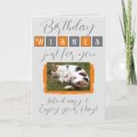 Aniversário deseja adicionar cinza de gato laranja