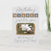 Aniversário deseja adicionar cinza de gato marrom