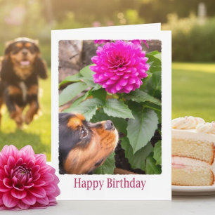 Cartão Aniversário Deseja Com Dahlia E Cão Espanhol