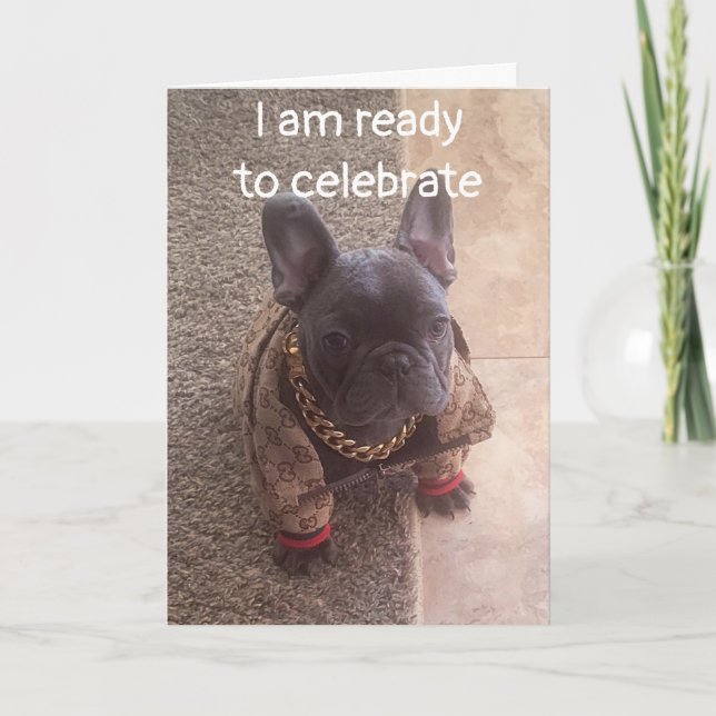 CARTÃO ANIVERSÁRIO DESEJA DE UM CÃO LEGAL (Frente)