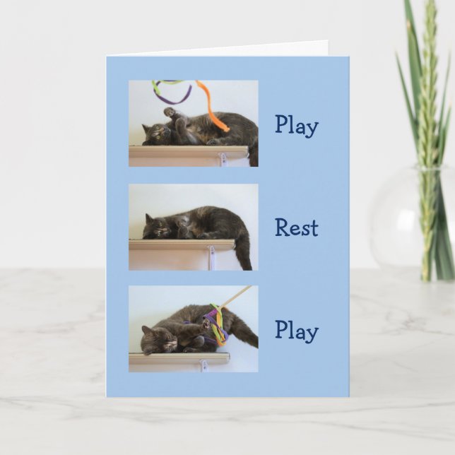 Cartão Aniversário Deseja Pessoas de Gato (Frente)