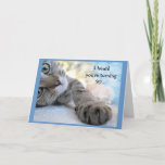 Cartão Aniversário do 90 do divertimento com humor do<br><div class="desc">Se você ama gatos ou animais este cartão trará um sorriso a sua cara</div>