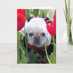 Cartão Aniversário do Bulldog Francês num Jardim das Tuli
