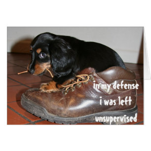 Cartão Aniversário Do Cachorro Puppy Mascando Engraçado