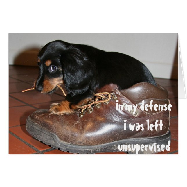 Cartão Aniversário Do Cachorro Puppy Mascando Engraçado (Frente Horizontal)