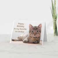 ** ANIVERSÁRIO DO COTRABALHADOR DE GATO**