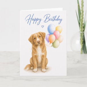 Cartão Aniversário do Duck Tolling Retriever