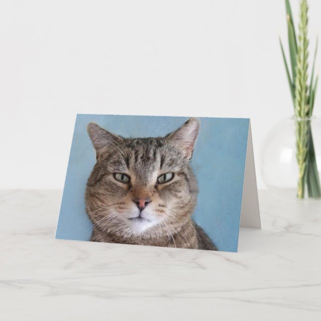 Cartão Aniversário do Gatinho "Do Gato" Personalizado (Frente)