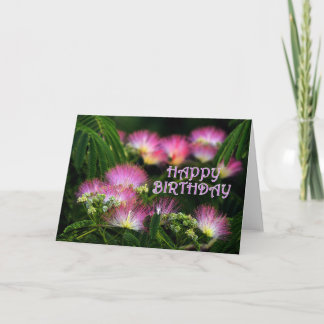 Cartão Aniversário do Mimosa