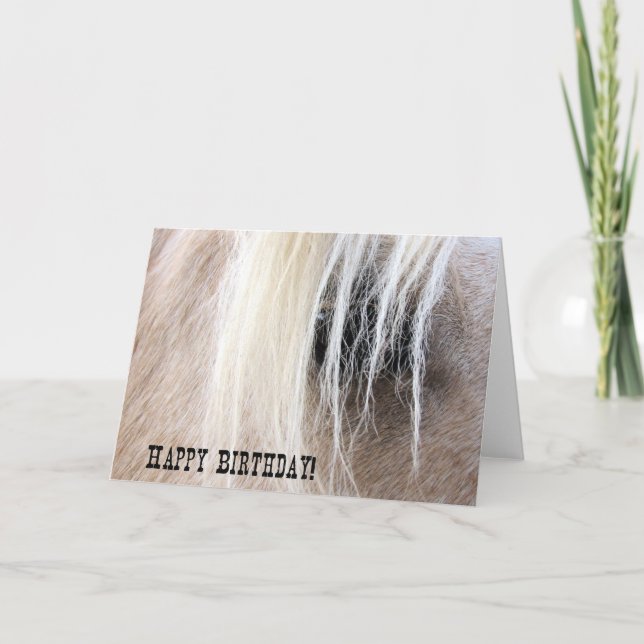 Cartão Aniversário do olho do cavalo do Palomino (Frente)