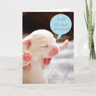 Cartão Aniversário do OMG!