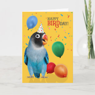 Cartão Aniversário do Papagaio Lovebird Azul Engraçado