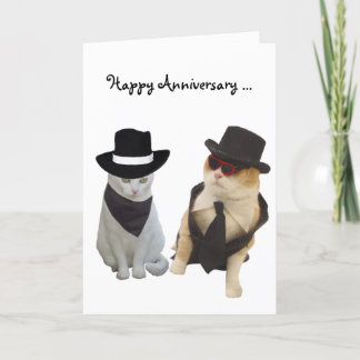 Cartão Aniversário dos Gatos Engraçados