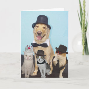 Cartão Aniversário engraçado